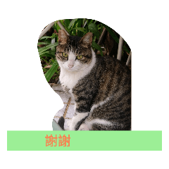 let's enjoy your life