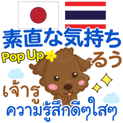 Ru Honest feelings Pop-up Thai-Japanese