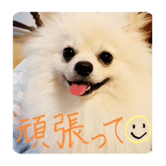 kinakonako0120