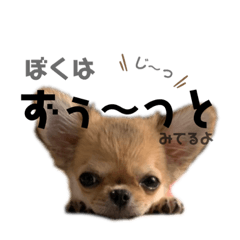 TOMOMI_20220610002156