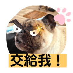 ！二種動物！貼圖