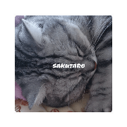 yucosta_20220610014056