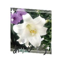 Megumi_20220610065213