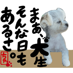 yuka_20220610115847
