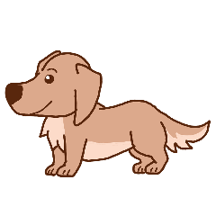 Daily life of miniature dachshund2