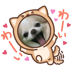 chiitan_20220610133912