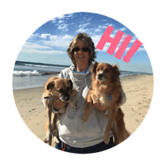 chi Jeanne & dogs