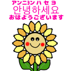 向日葵のご挨拶　韓国語版