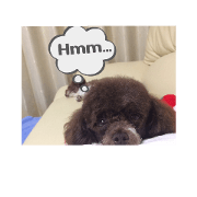 loverydog2