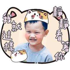 小萌寶系列-宥宥貓咪版