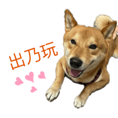 柴柴柴柴柴柴柴柴柴