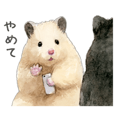 Sukeroku's Daily Life 6