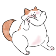 BIG CAT is cute