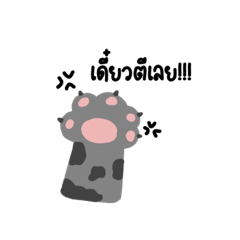 meowmeow_20220610151303