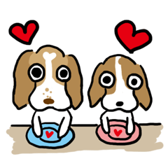 beagle s momo&natsu