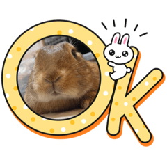 Chisa_20220610205949