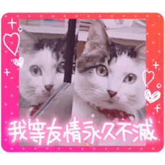 Yuina_20220610210219