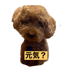 oujiro_20220611115606