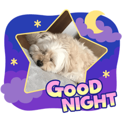 Cherry_20220611103435