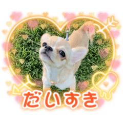 My family is important