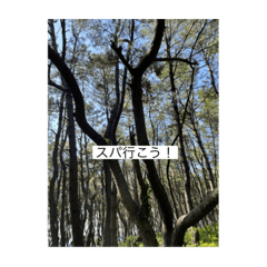 HIKARI_20220610220713