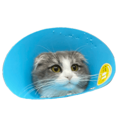 arisa_20220610224405