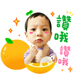 ⭐️ 壯壯的喜怒哀樂 ⭐️