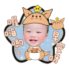 袋鼠昊昊日常用語篇