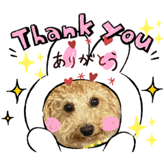 CHIYO_20220611025610