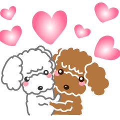 Love love poodle!