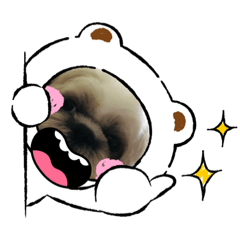 梅西的狗生之我長大了！