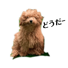 so_20220611165334