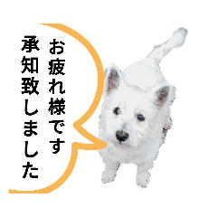 tomomi_20220611142351