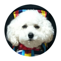 ARISA_20220611193512