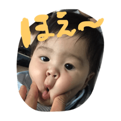 zinzin!no.1