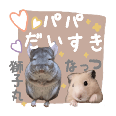 tanuki_20220611145456