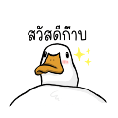 Duck_20220611144549