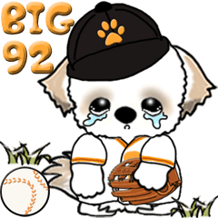 【Big】シーズー 92『野球はじめました！』
