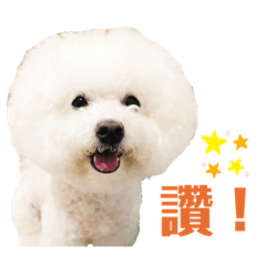 比熊妹妹貼圖第三版