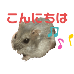 CHIYO_20220611163939