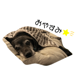 natsumi_20220612030041