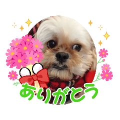 hana_20220612112700