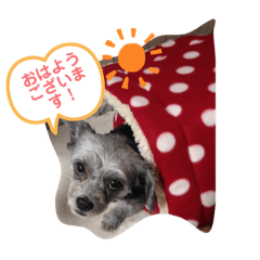 hana_20220611225020