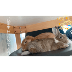 yuina_20220612120749