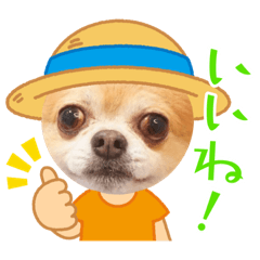 hana_20220612120411