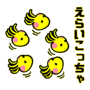 yuko YUKO_20220611203201
