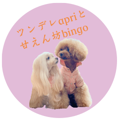 apri and bingo stickers