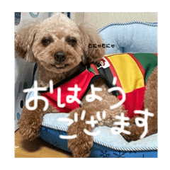 yun_20220612161259