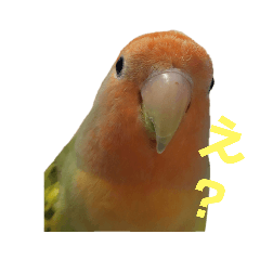 yuina_20220612110806