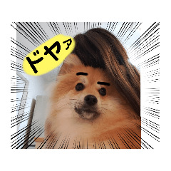 kichi_20220612145716